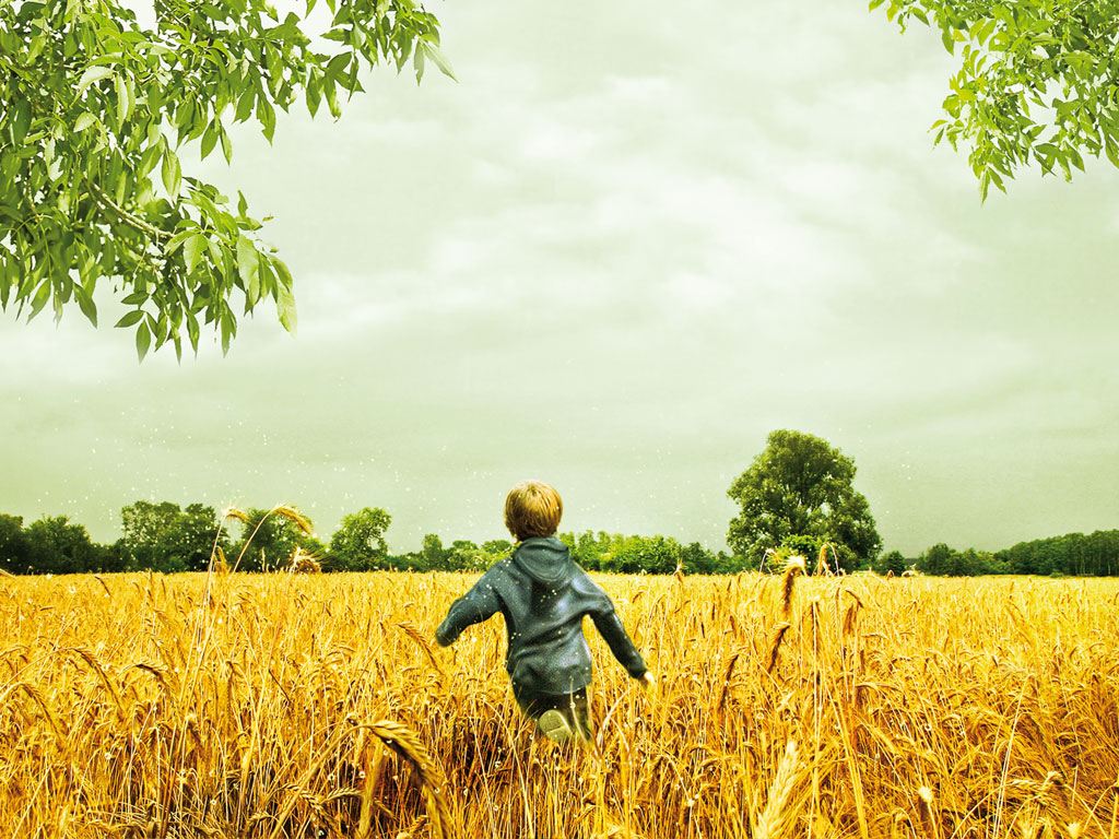 Светлячки в саду