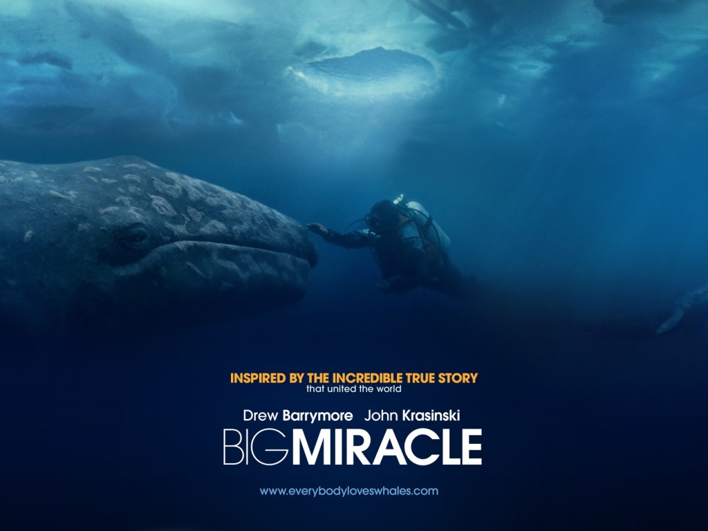 Все любят китов