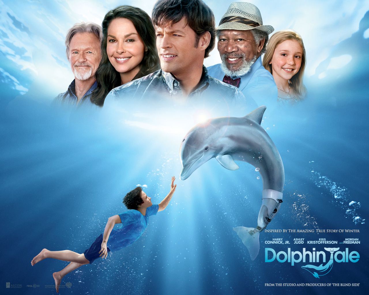 История дельфина