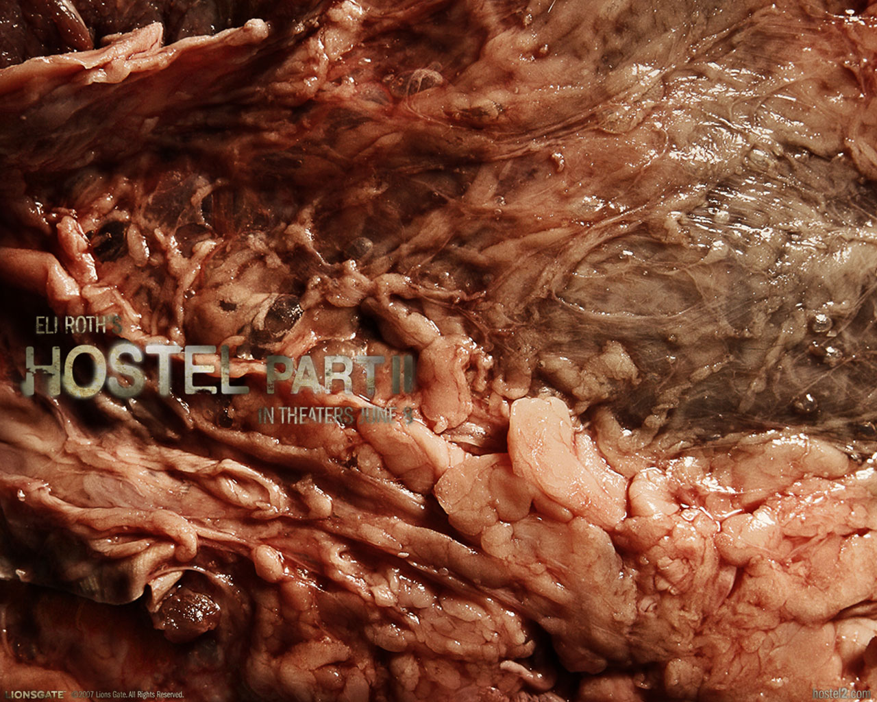 Хостел: Часть II