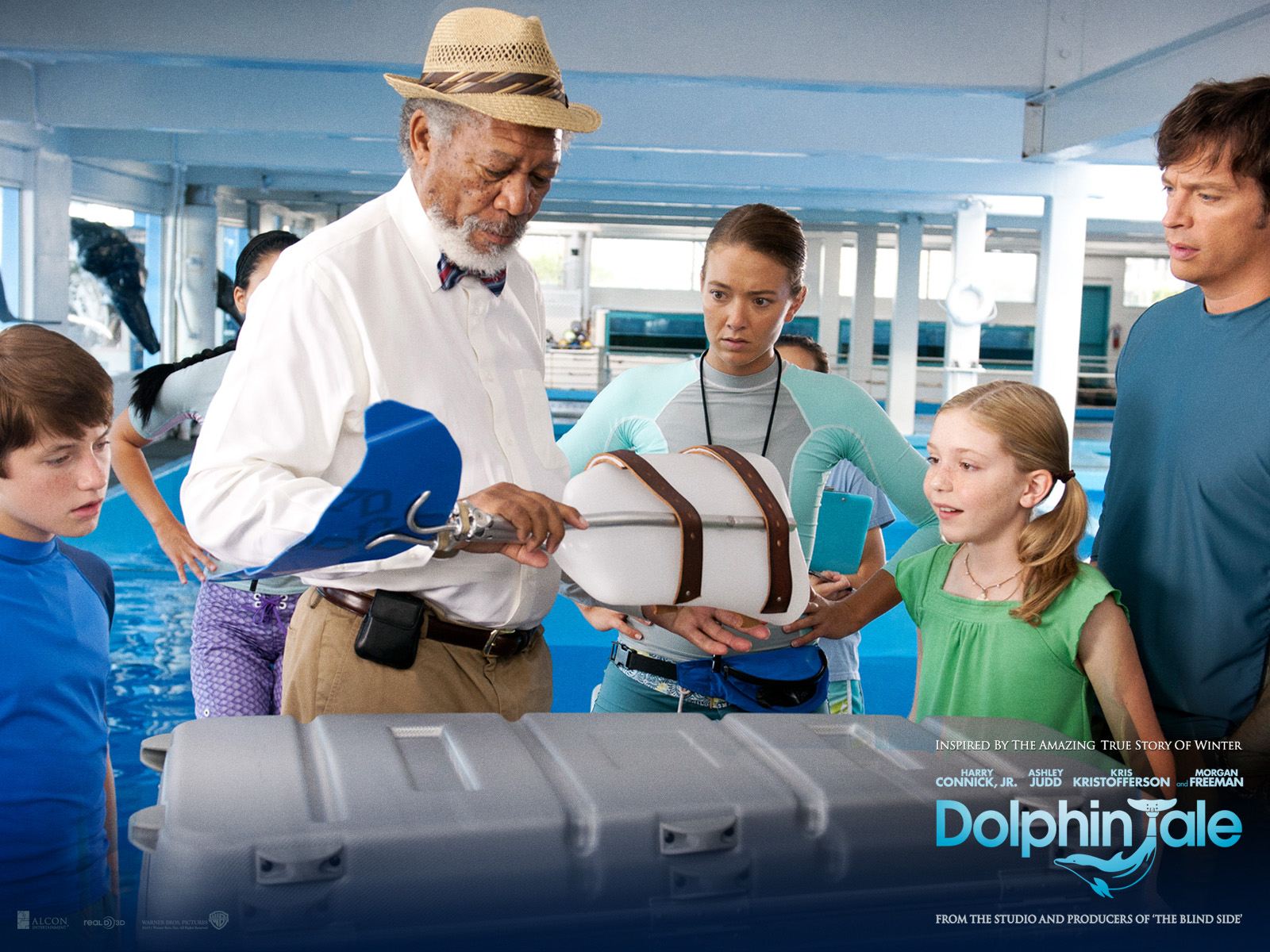 История дельфина