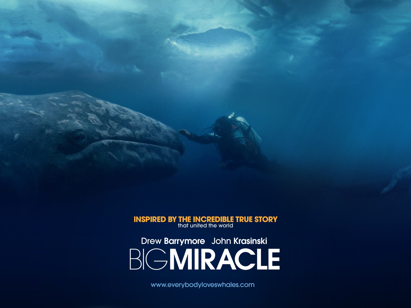 Все любят китов