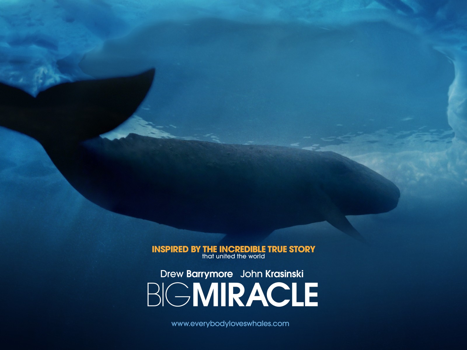 Все любят китов