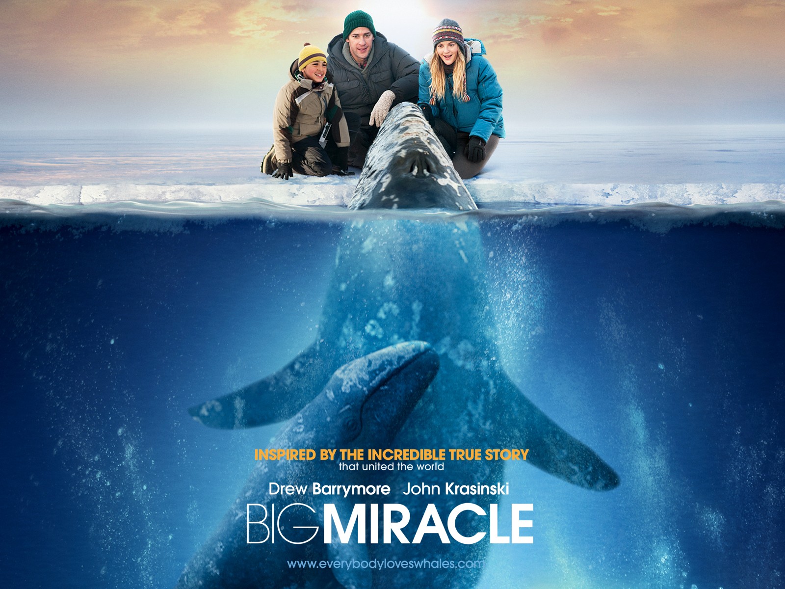 Все любят китов