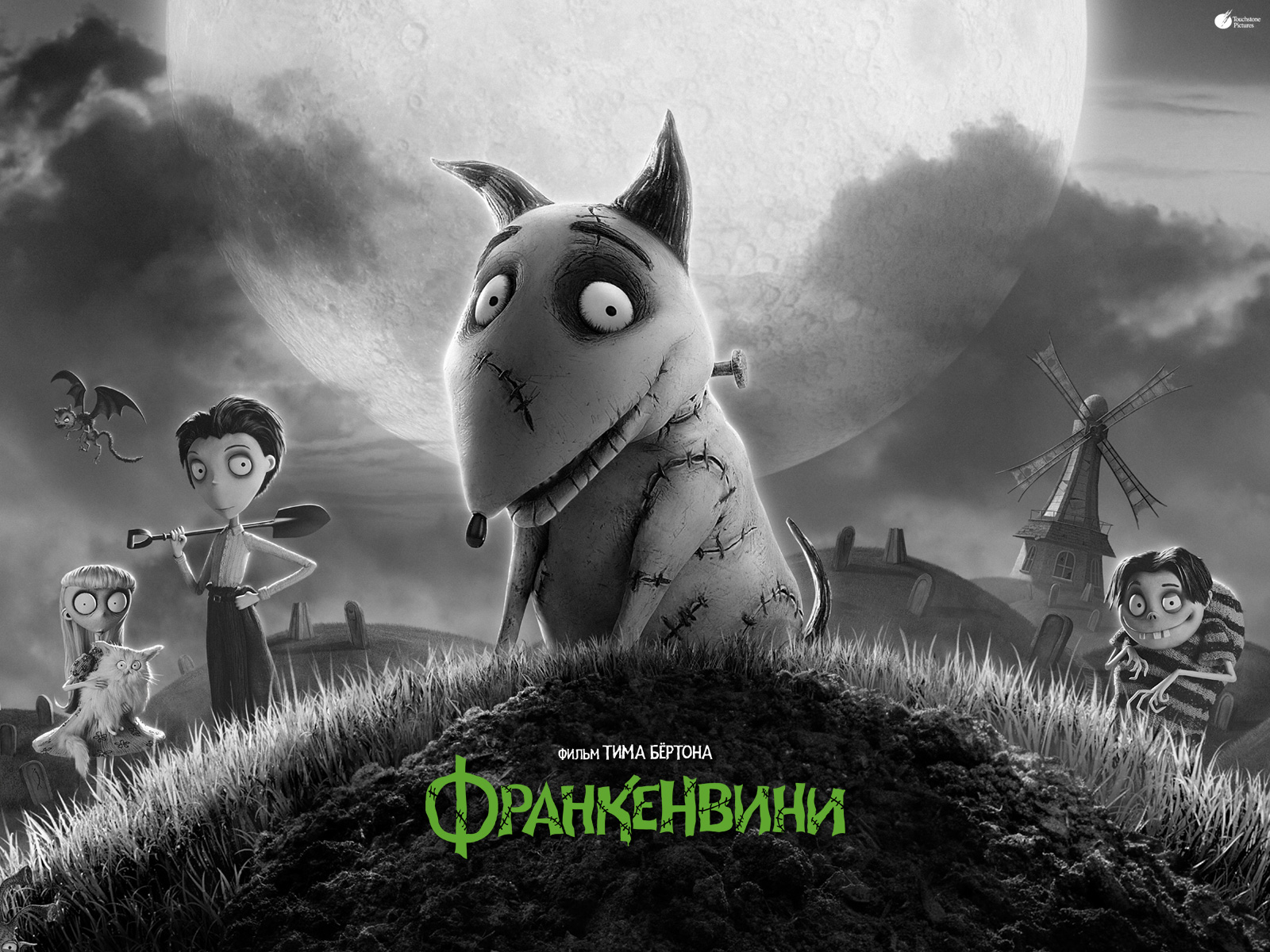 Франкенвини