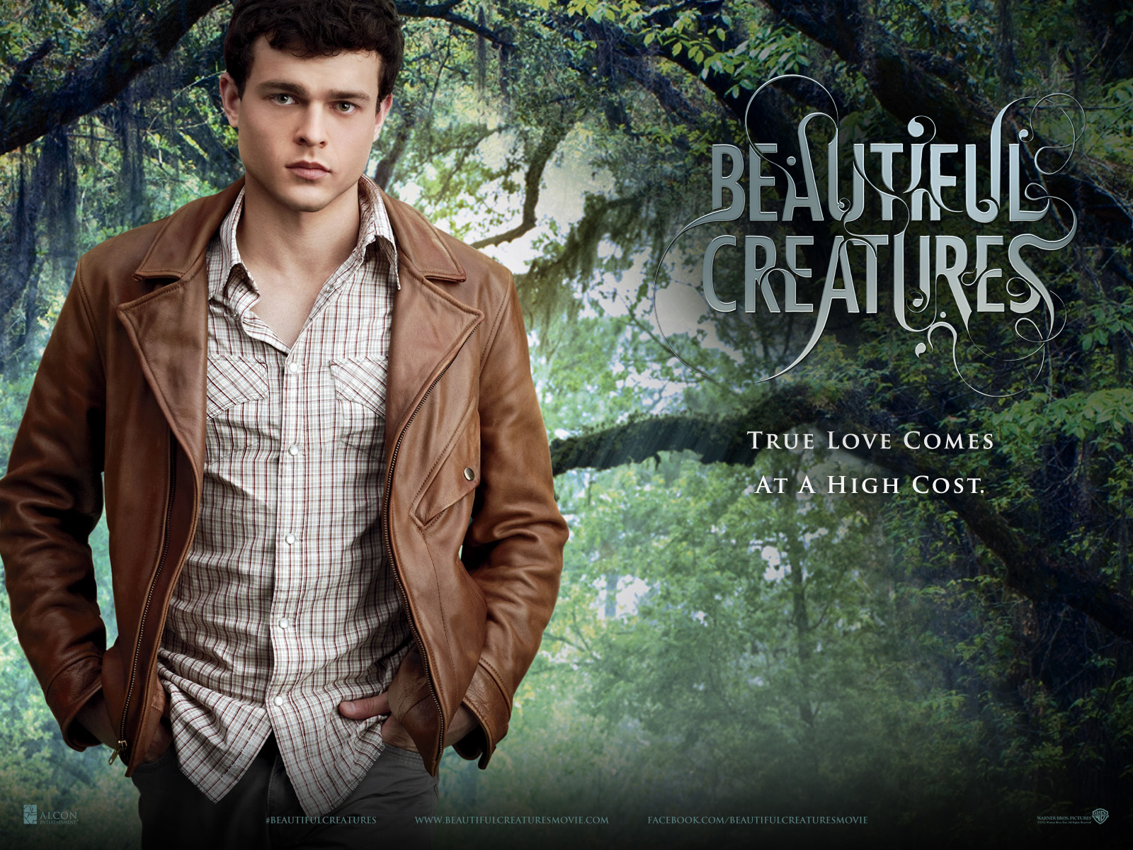 Прекрасные создания