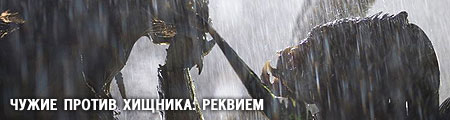   : 