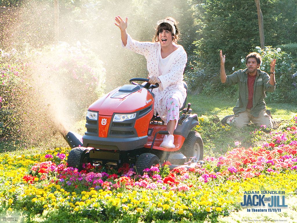 Такие разные близнецы