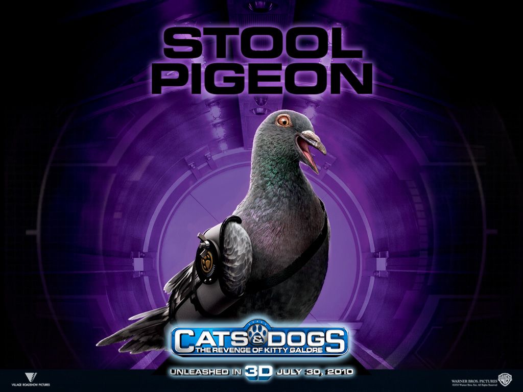 Кошки против собак: Месть Китти Галор