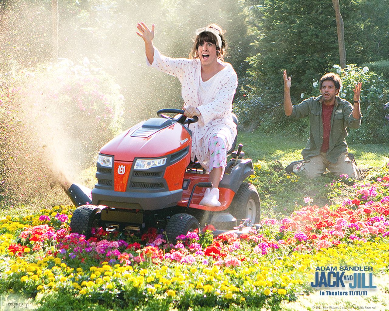 Такие разные близнецы